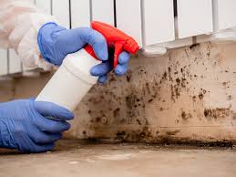 Best Attic Mold Removal  in Gettysburg, PA